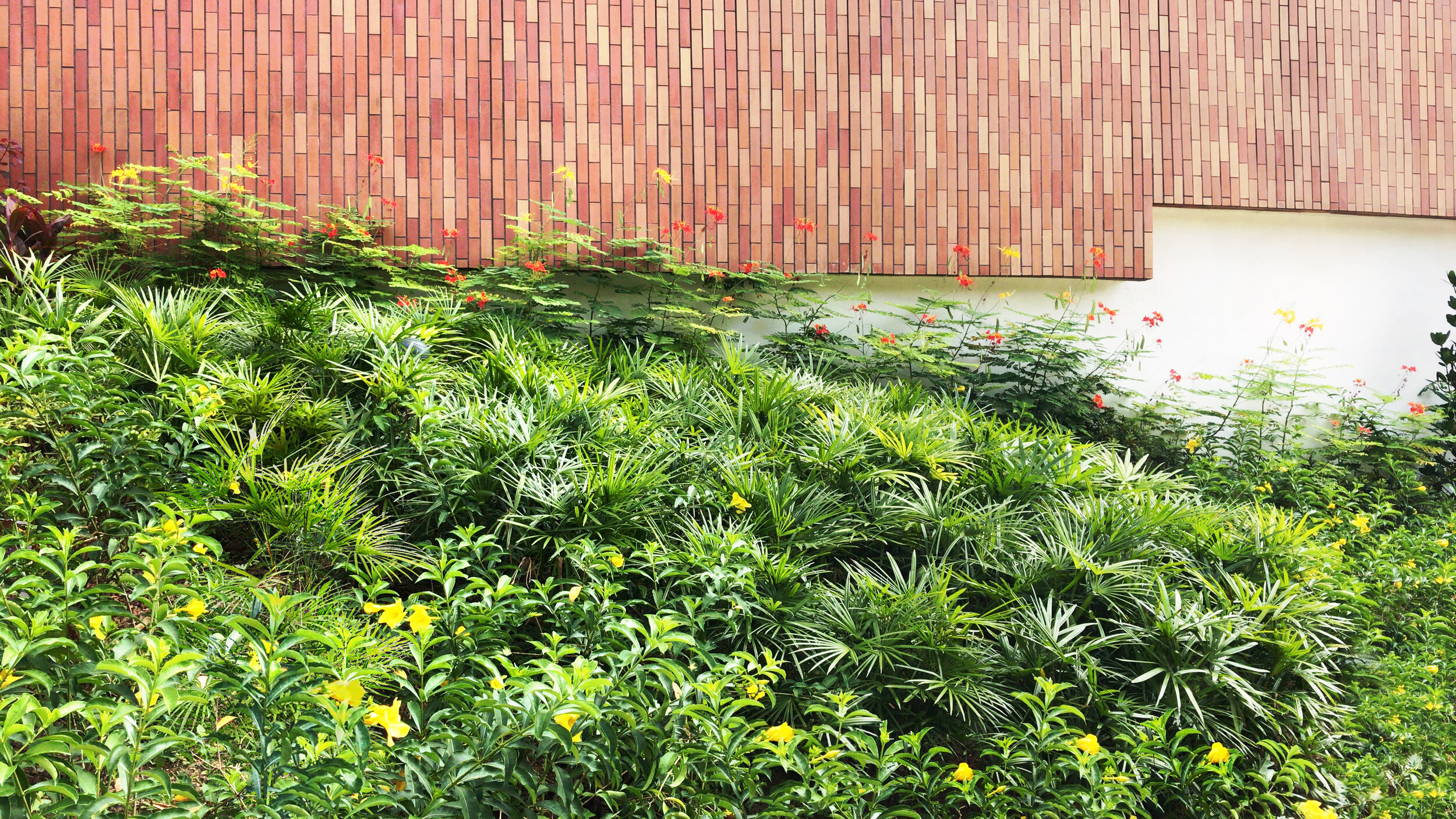 Ruby Court Soft Landscape Works - VALECHE Studio Ruby Court Soft Landscape Works - VALECHE Studio